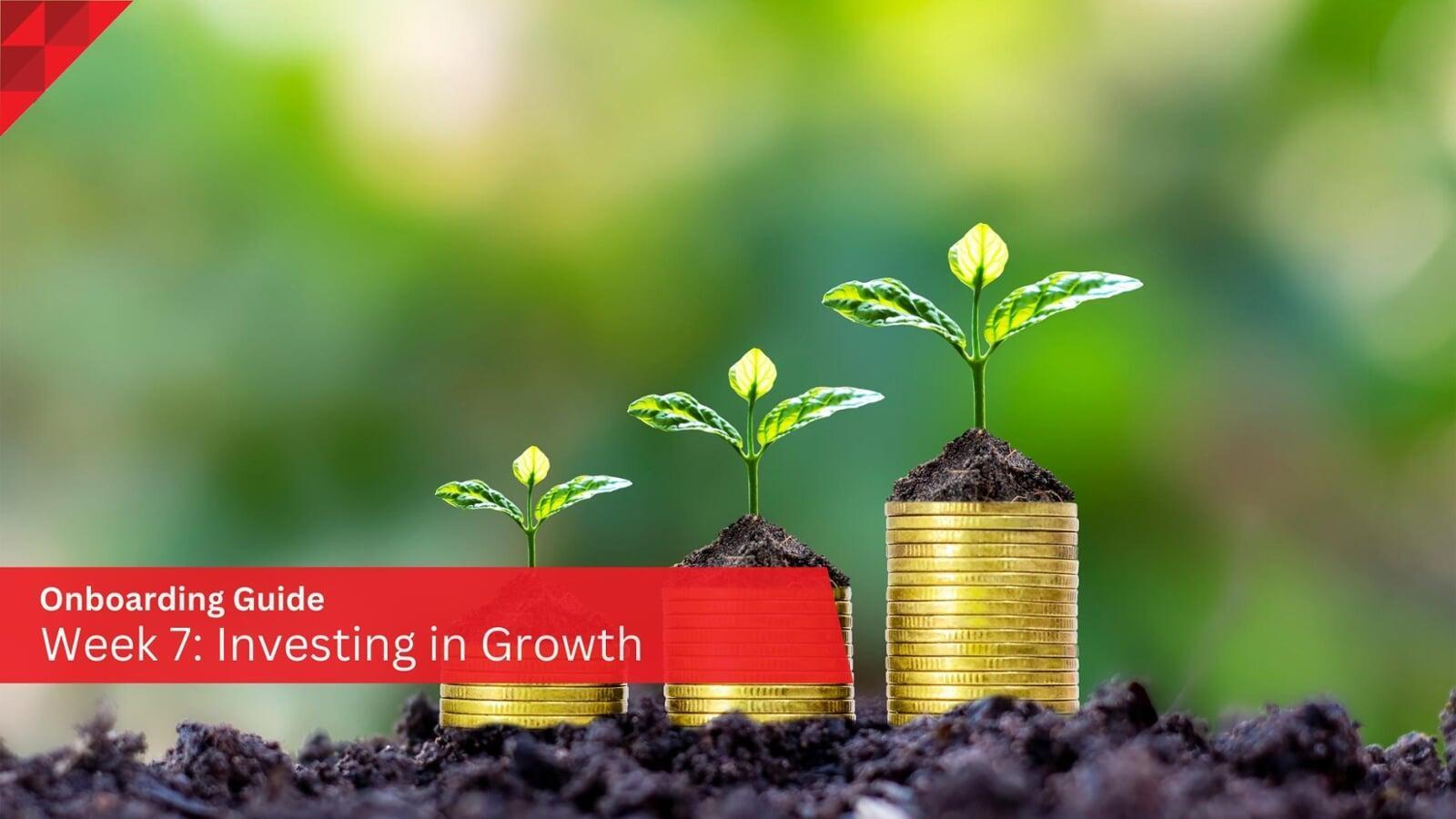 Investing in Growth: Week 7 as a Marketing Operations Manager